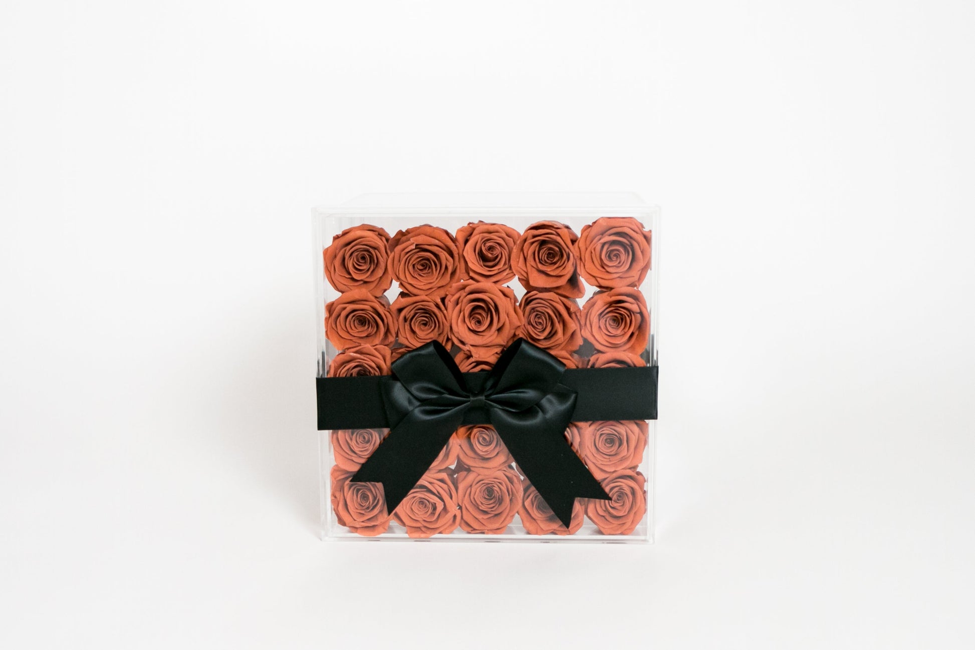 Twenty-five Preserved Roses in Clear Display - Juliet's Roses