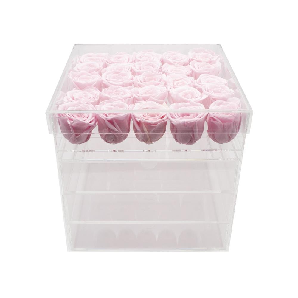 Twenty-five Preserved Roses in Clear Display - Juliet's Roses