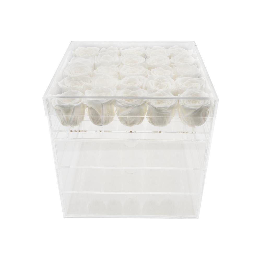 Twenty-five Preserved Roses in Clear Display - Juliet's Roses