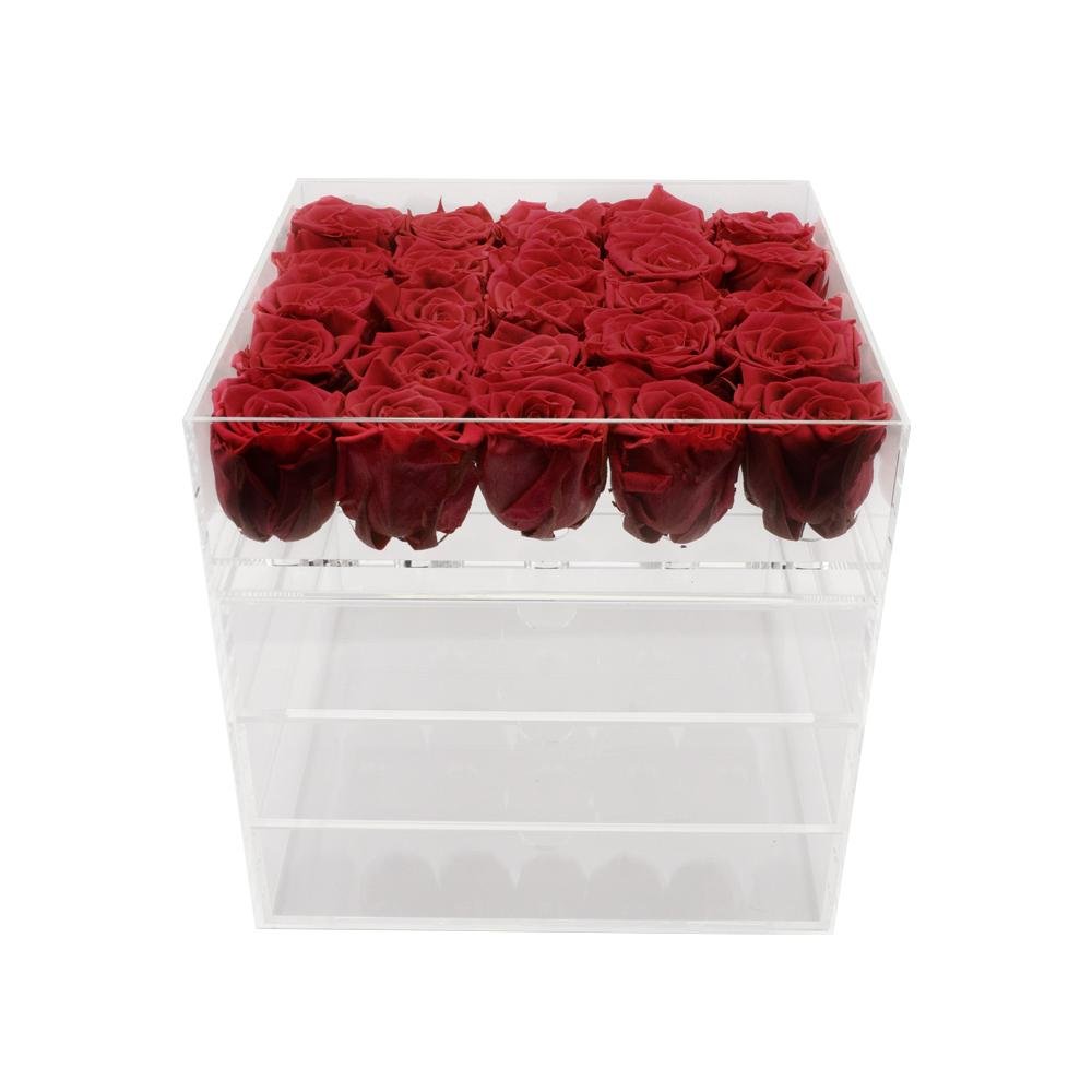 Twenty-five Preserved Roses in Clear Display - Juliet's Roses