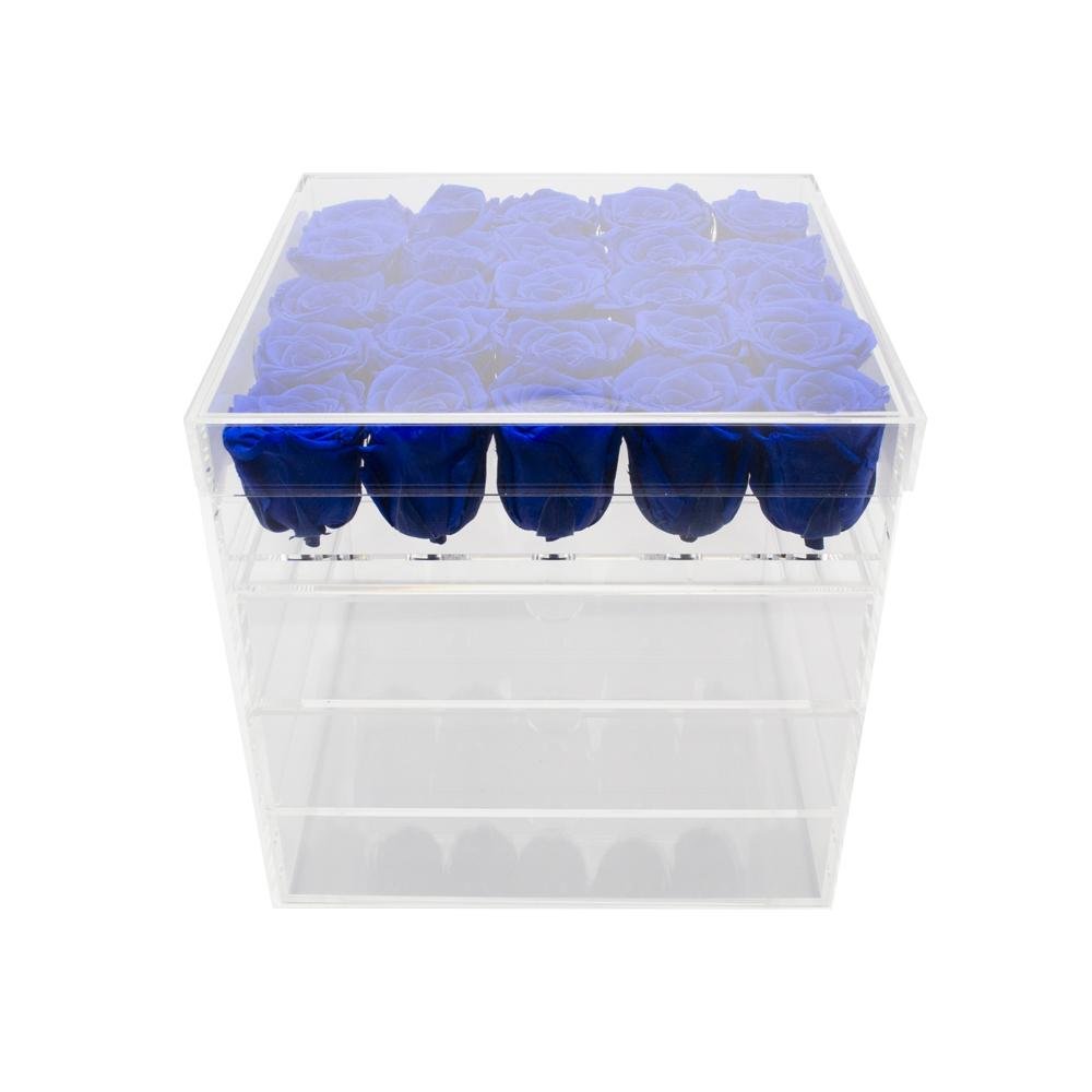 Twenty-five Preserved Roses in Clear Display - Juliet's Roses