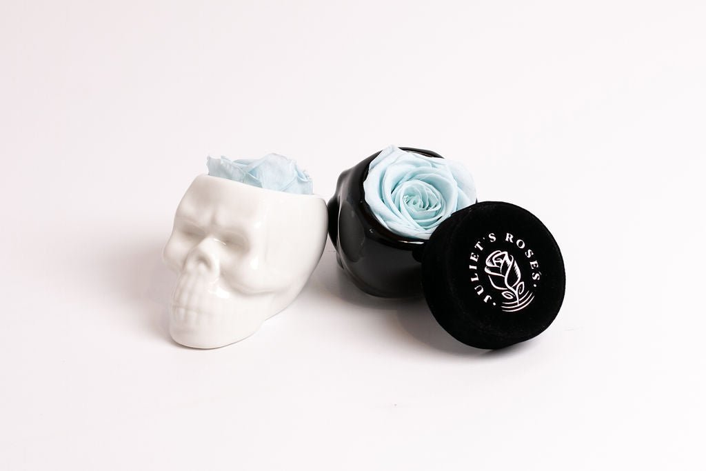 White Halloween Skull with Rose - Juliet's Roses