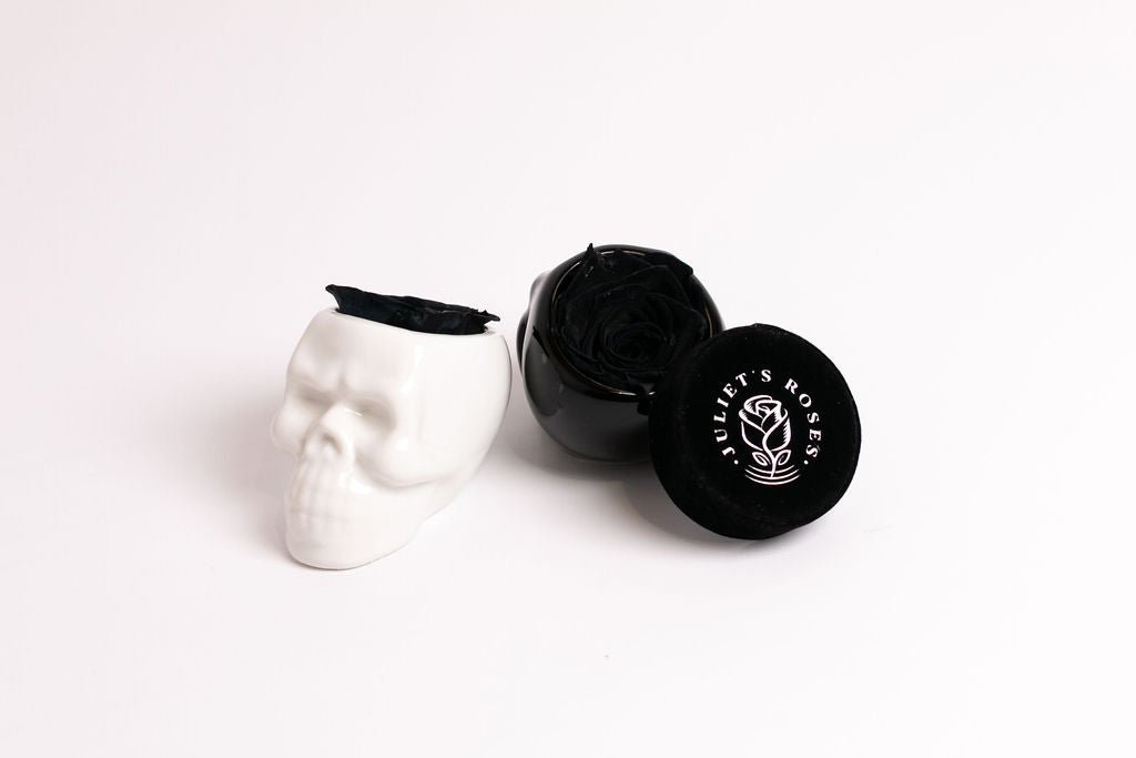 White Halloween Skull with Rose - Juliet's Roses
