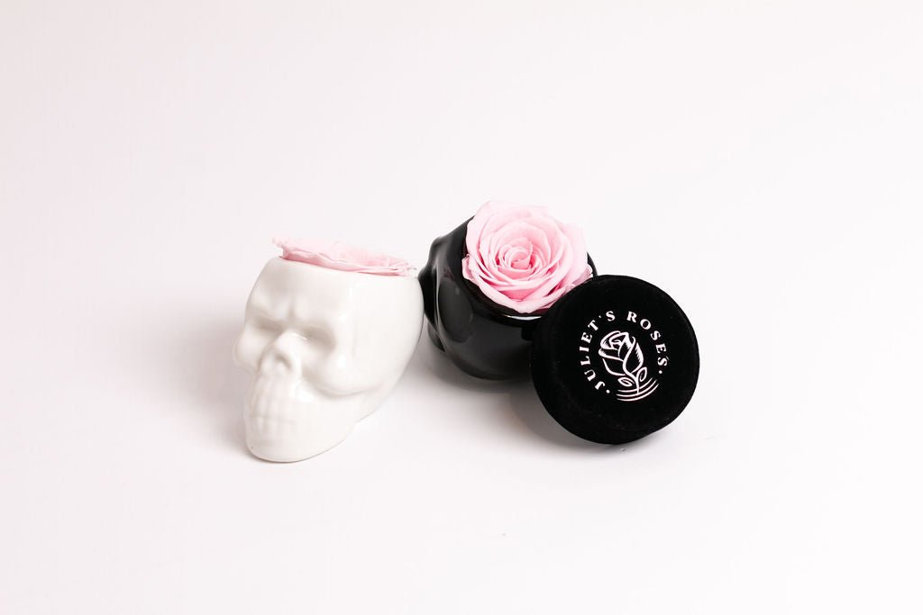 White Halloween Skull with Rose - Juliet's Roses