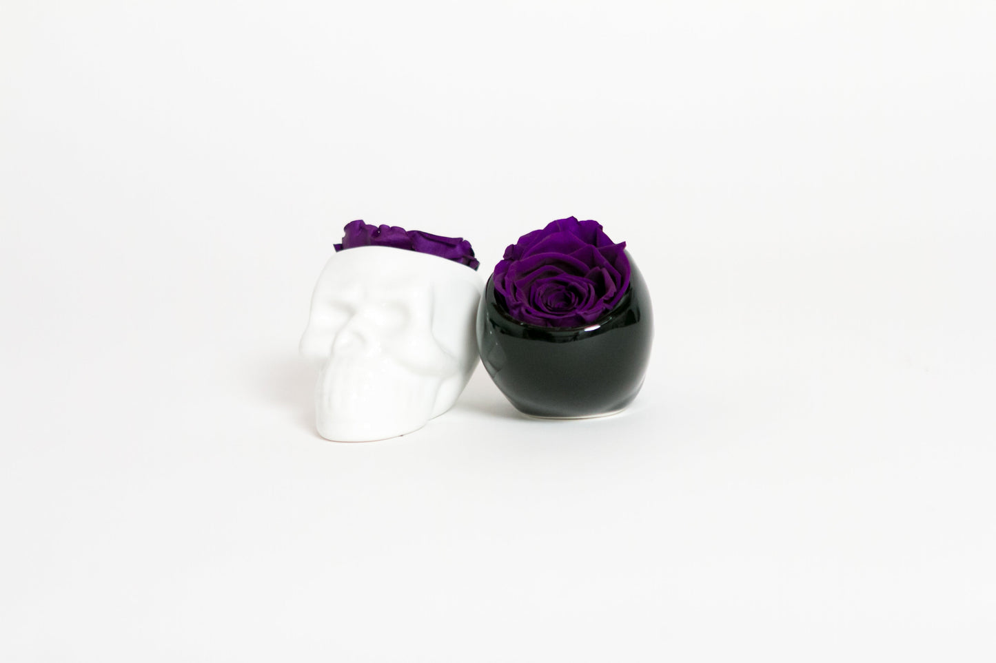 White Halloween Skull with Rose - Juliet's Roses