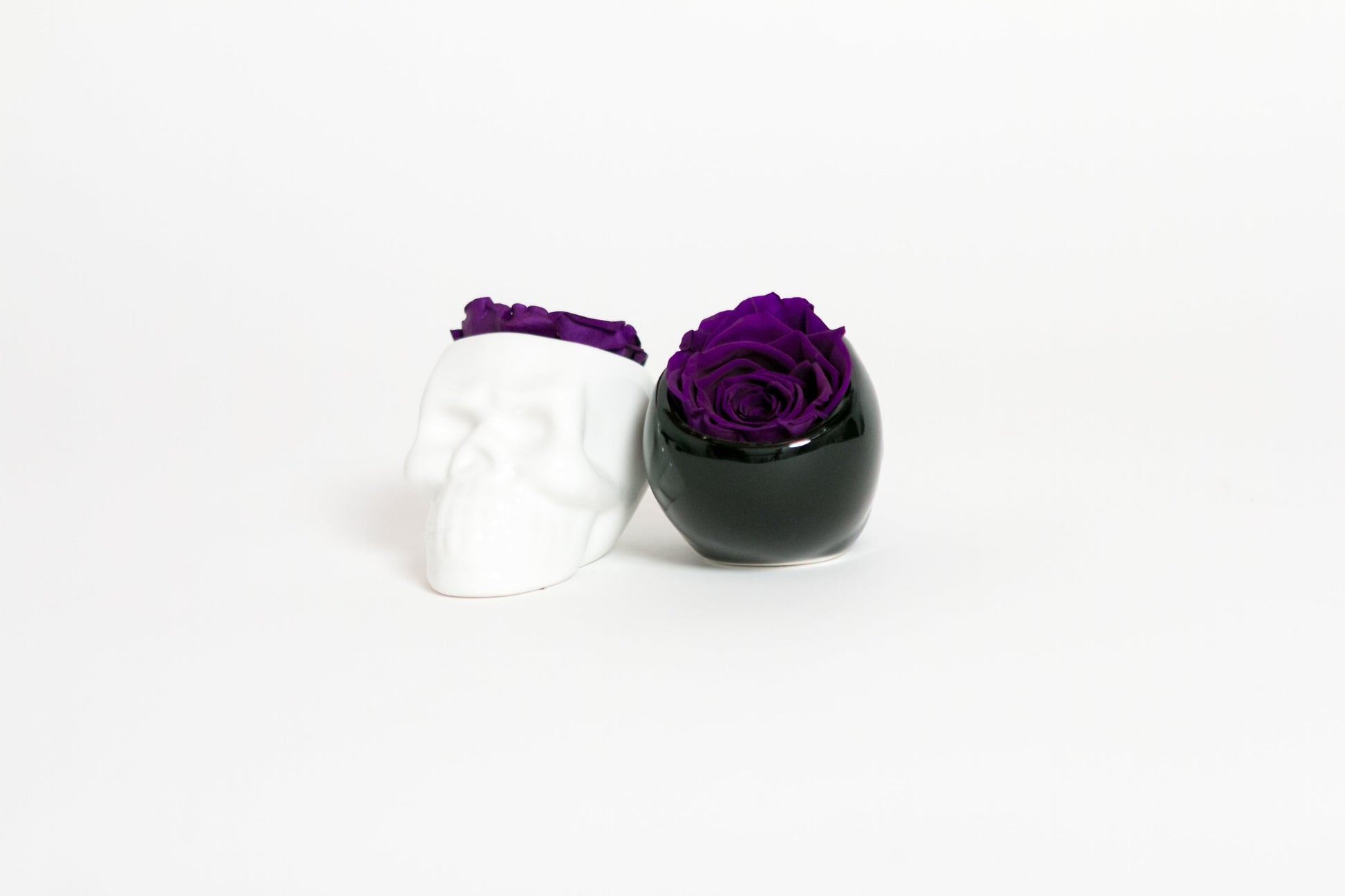White Halloween Skull with Rose - Juliet's Roses