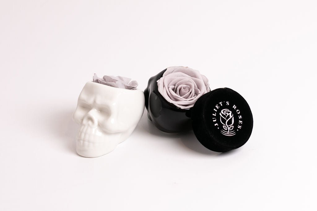 White Halloween Skull with Rose - Juliet's Roses