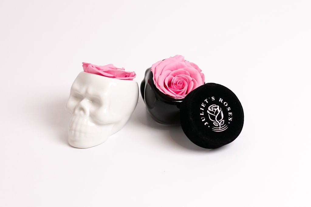 White Halloween Skull with Rose - Juliet's Roses