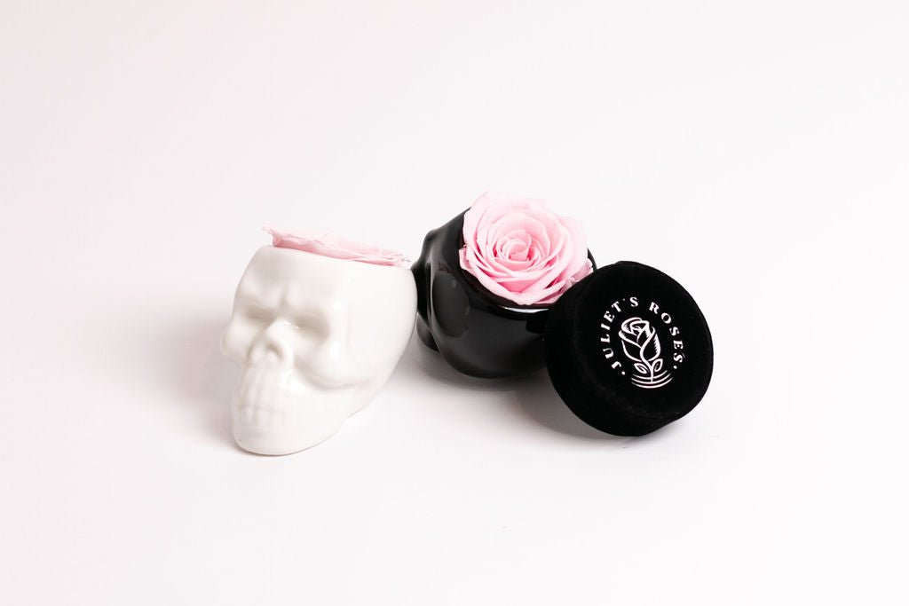 White Halloween Skull with Rose - Juliet's Roses