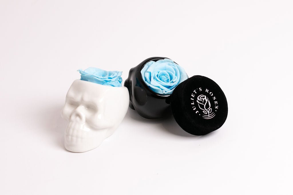 White Halloween Skull with Rose - Juliet's Roses