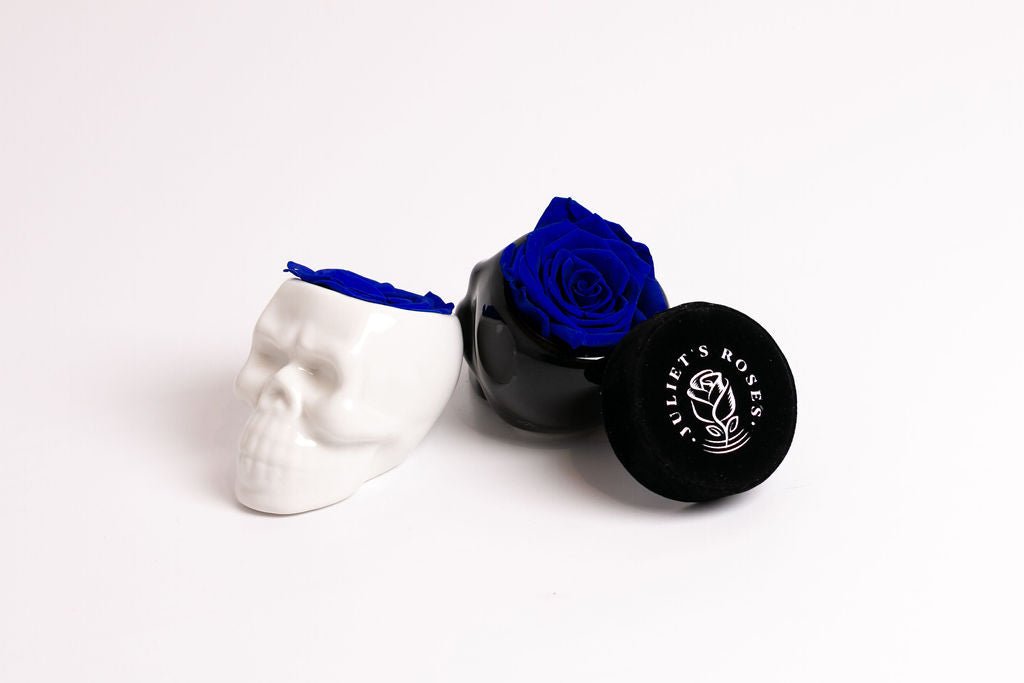 White Halloween Skull with Rose - Juliet's Roses