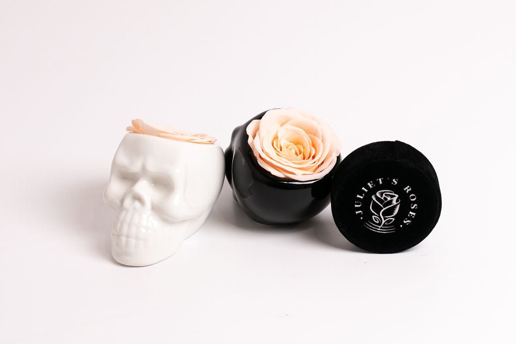 White Halloween Skull with Rose - Juliet's Roses