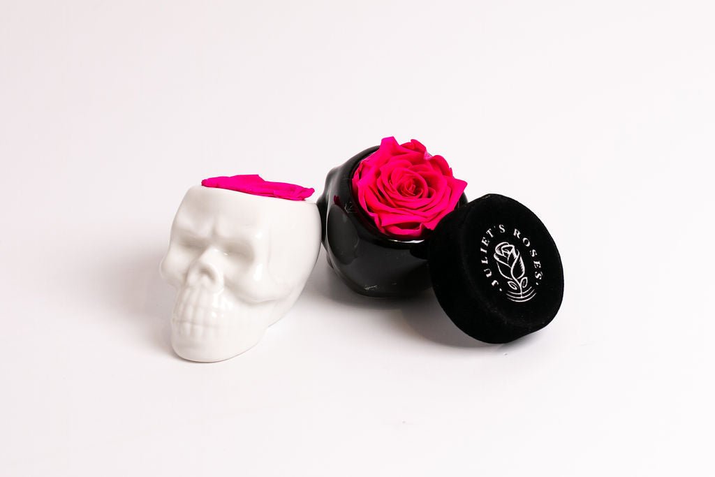 White Halloween Skull with Rose - Juliet's Roses