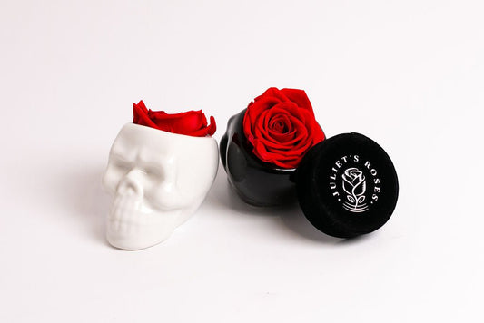 White Halloween Skull with Rose - Juliet's Roses