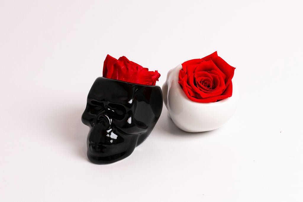 White Halloween Skull with Rose - Juliet's Roses