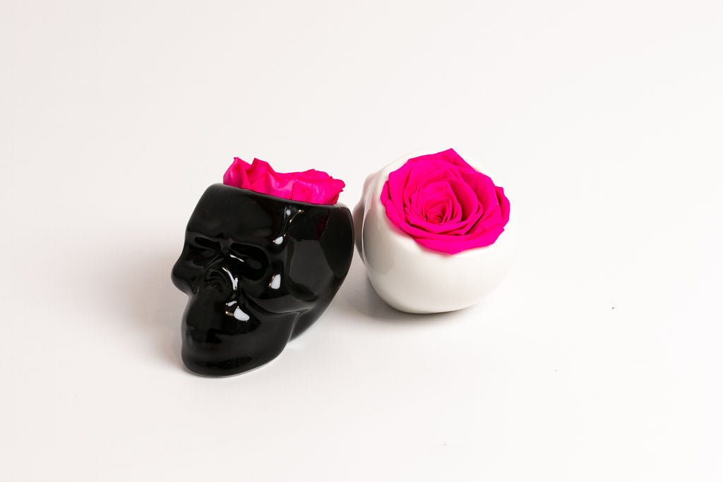 White Halloween Skull with Rose - Juliet's Roses