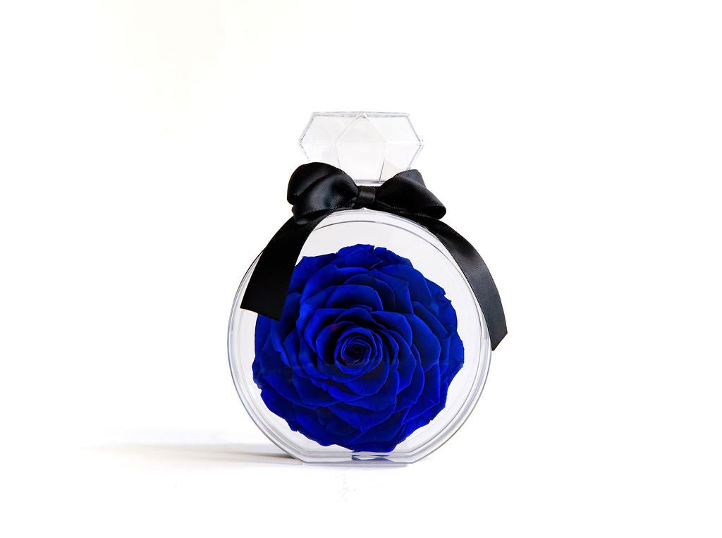 Perfume Bottle with Blue Preserved Rose - Juliet's Roses