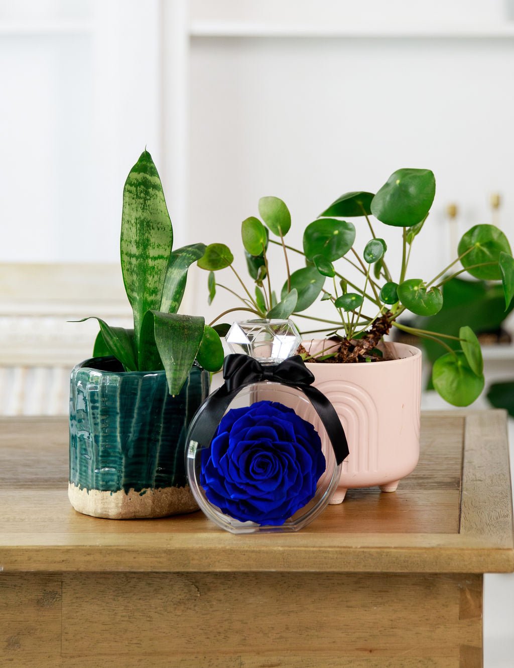 Perfume Bottle with Blue Preserved Rose - Juliet's Roses