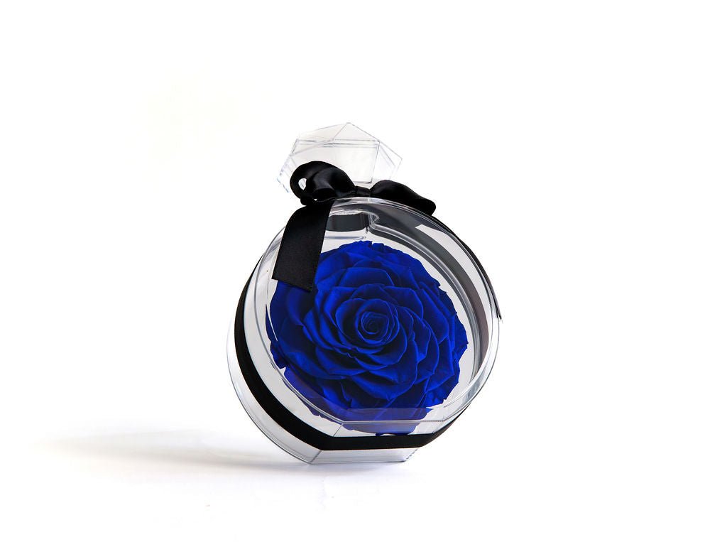 Perfume Bottle with Blue Preserved Rose - Juliet's Roses