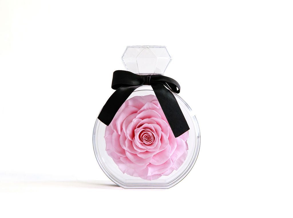 Perfume Bottle with Pink Preserved Rose - Juliet's Roses