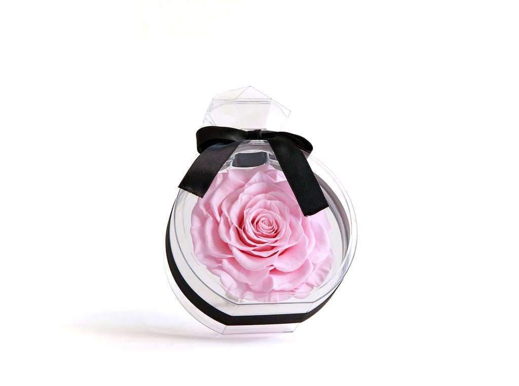 Perfume Bottle with Pink Preserved Rose - Juliet's Roses