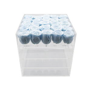 Arctic Blue Clear Twenty-five - Juliet's Roses