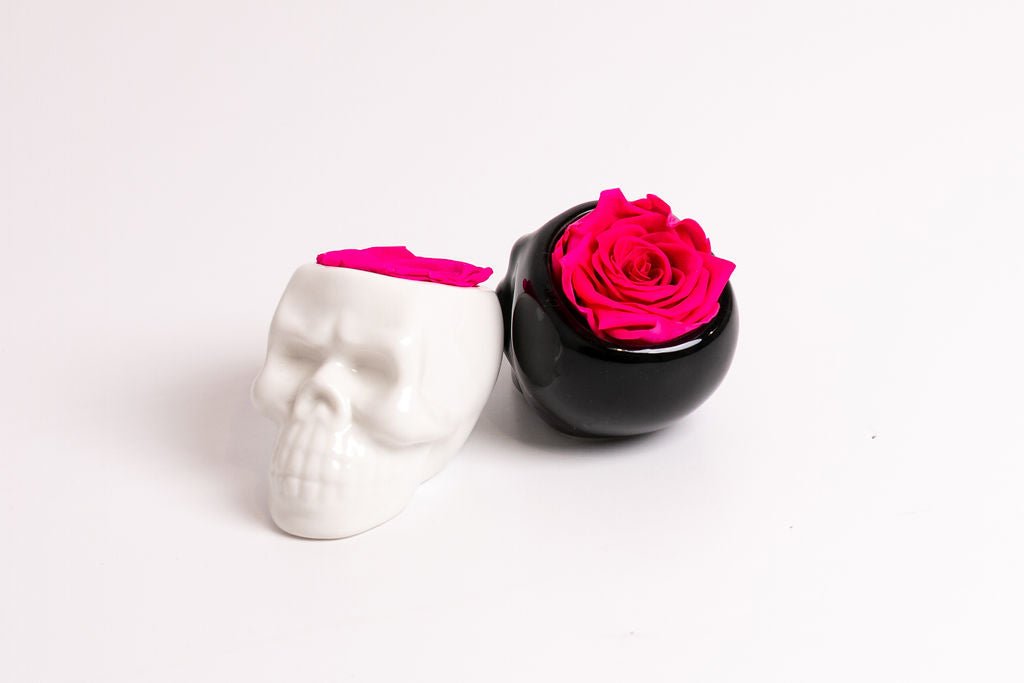 Black Halloween Skull with Rose - Juliet's Roses
