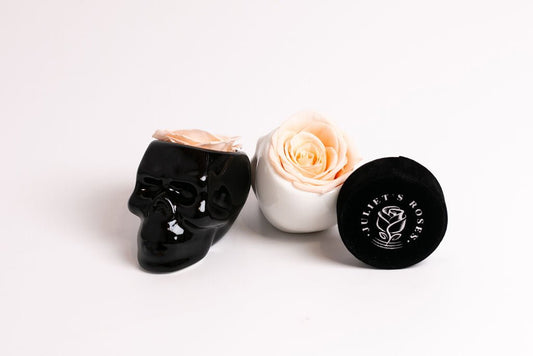 Black Halloween Skull with Rose - Juliet's Roses