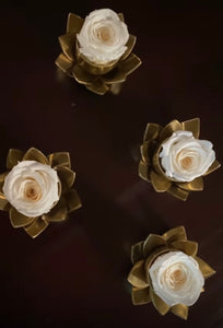 Blooming Singles - Juliet's Roses