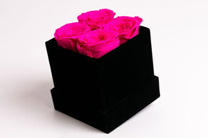 Classic Square Box - Juliet's Roses