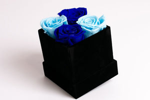 Classic Square Box - Juliet's Roses