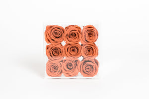 Clear Nine- 9 Preserved Roses in Clear Display - Juliet's Roses