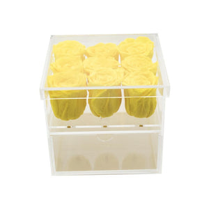 Clear Nine- 9 Preserved Roses in Clear Display - Juliet's Roses