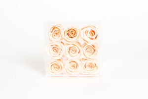 Clear Nine- 9 Preserved Roses in Clear Display - Juliet's Roses