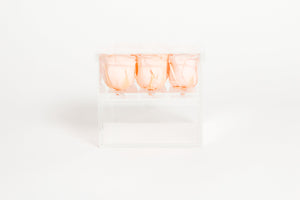 Clear Nine- 9 Preserved Roses in Clear Display - Juliet's Roses