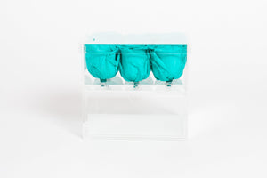 Clear Nine- 9 Preserved Roses in Clear Display - Juliet's Roses