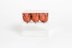 Clear Nine- 9 Preserved Roses in Clear Display - Juliet's Roses