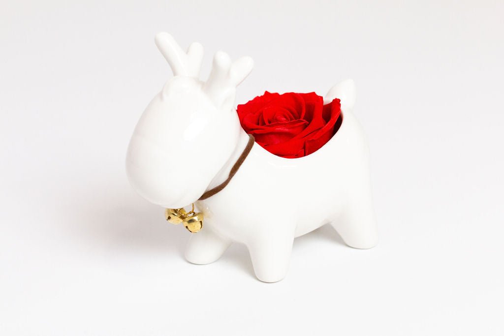 Holiday Reindeer - Juliet's Roses