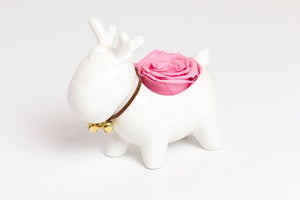 Holiday Reindeer - Juliet's Roses