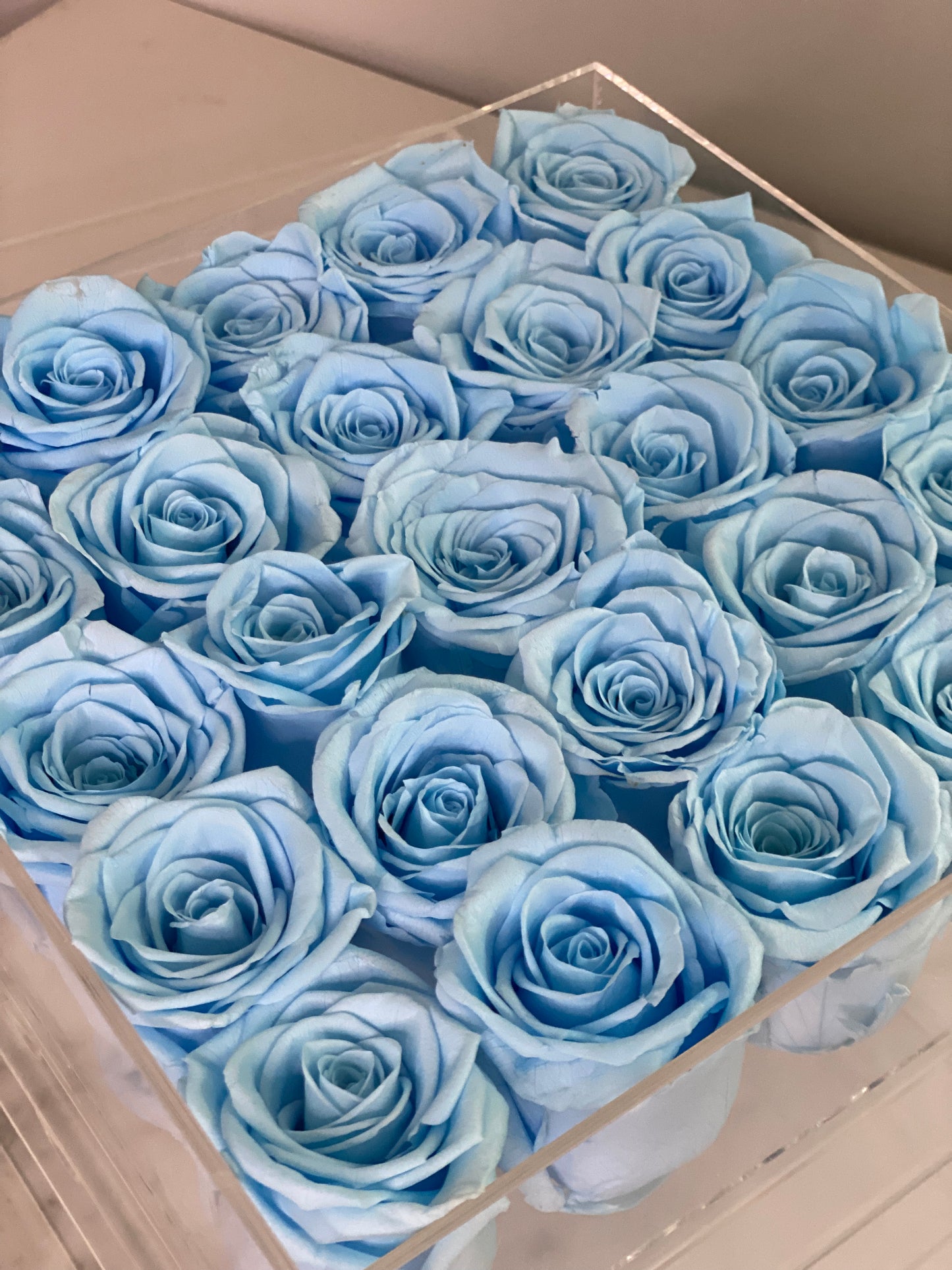 Twenty-five Preserved Roses in Clear Display