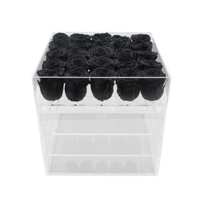 Twenty-five Preserved Roses in Clear Display - Juliet's Roses