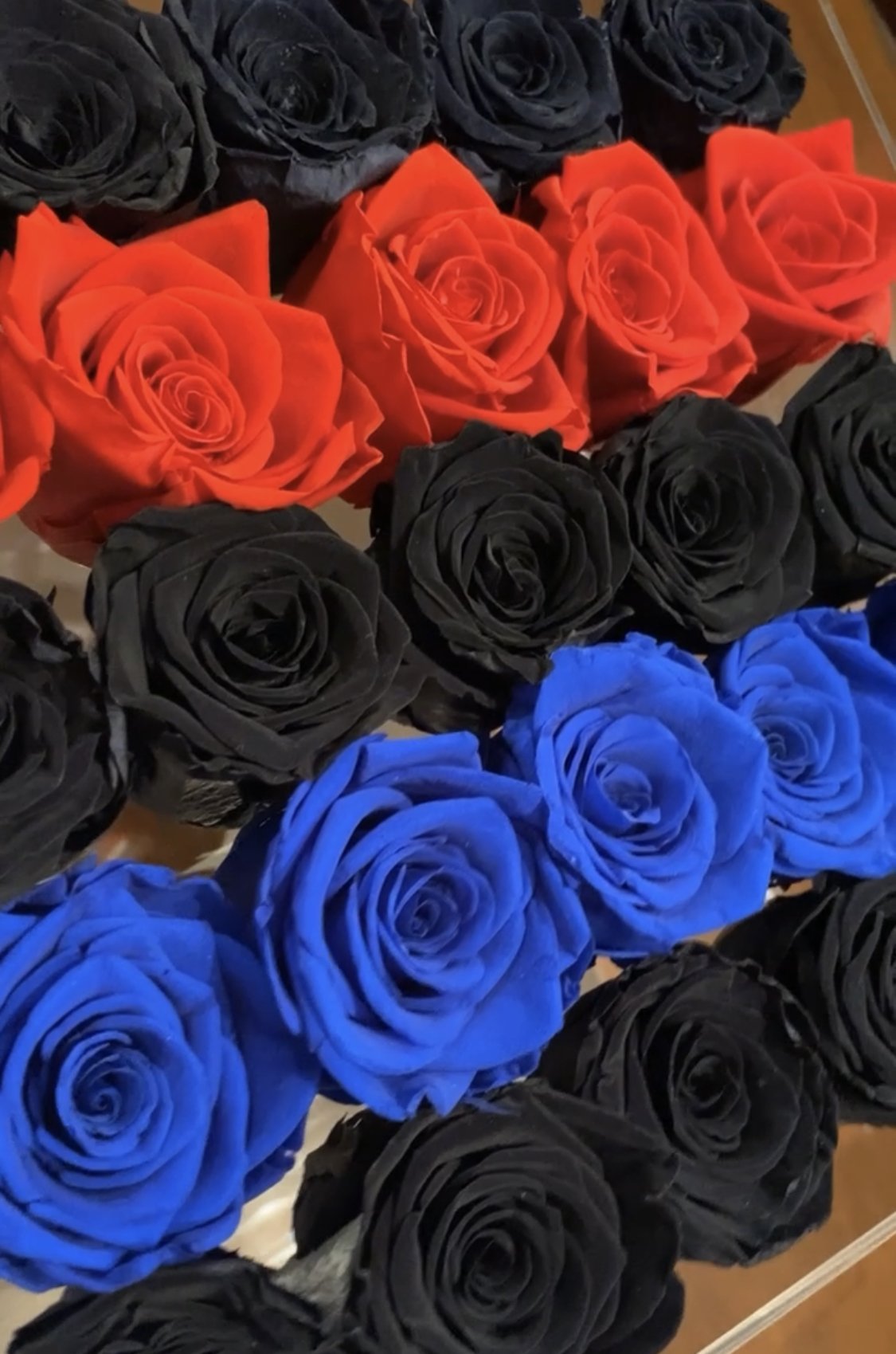 Twenty-five Preserved Roses in Clear Display - Juliet's Roses