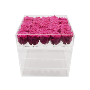 Twenty-five Preserved Roses in Clear Display - Juliet's Roses