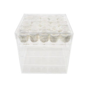 Twenty-five Preserved Roses in Clear Display - Juliet's Roses