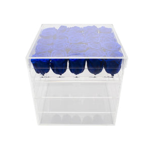 Twenty-five Preserved Roses in Clear Display - Juliet's Roses