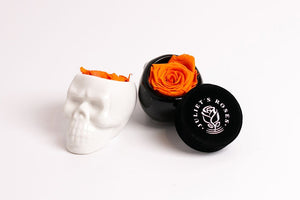 White Halloween Skull with Rose - Juliet's Roses