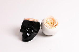 White Halloween Skull with Rose - Juliet's Roses